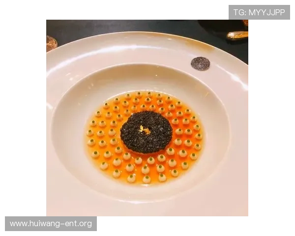 米其林娱乐盛宴：结合美食与娱乐的奢华体验让你流连忘返